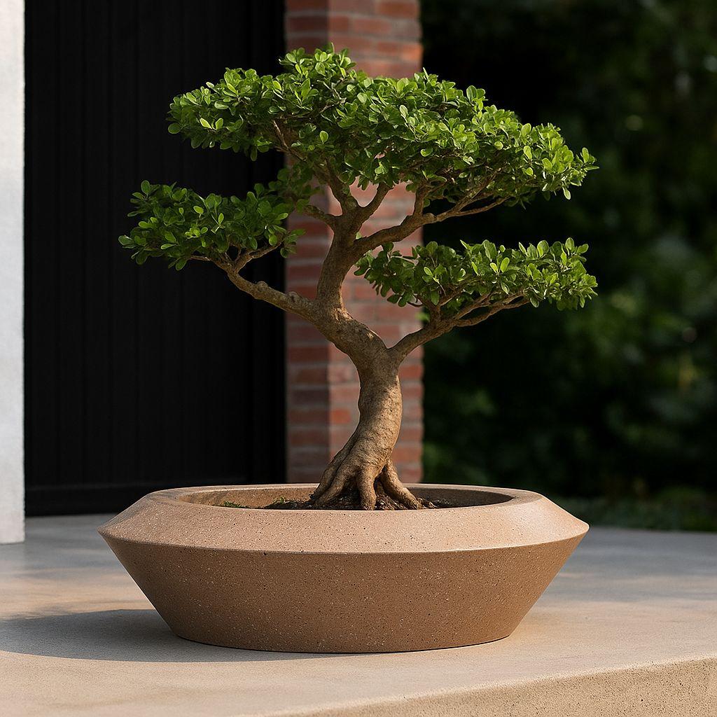 Skysun Cera Decorators