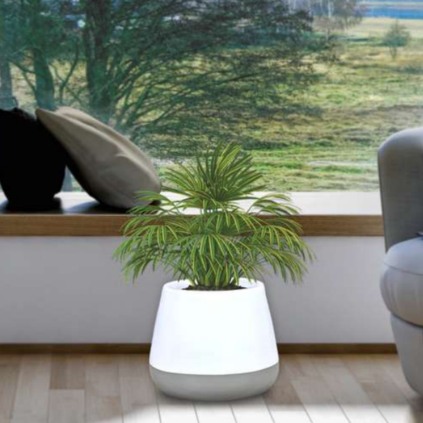 Carry Planter