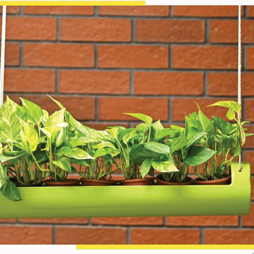 Hanging Bamboo Planter