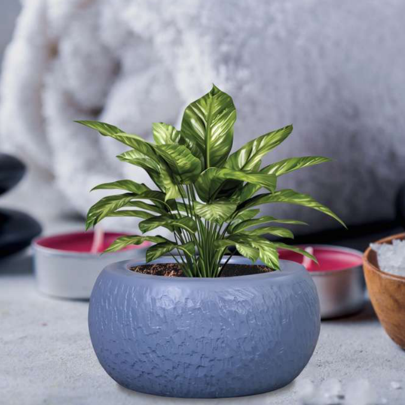 Jupiter Planter