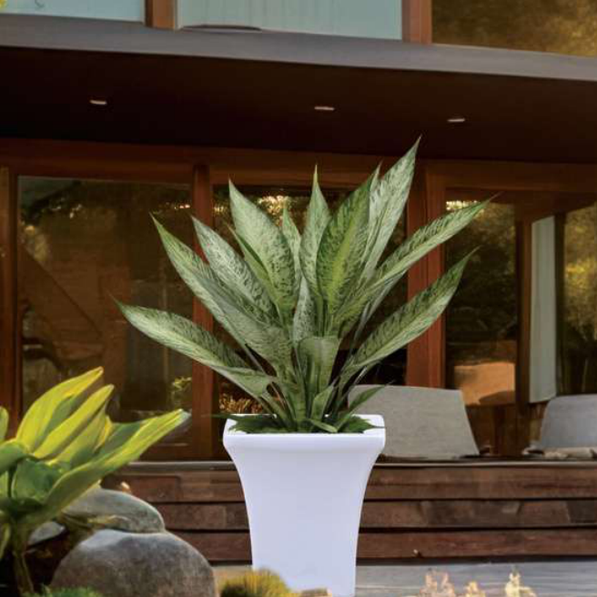 Kohinoor Planter
