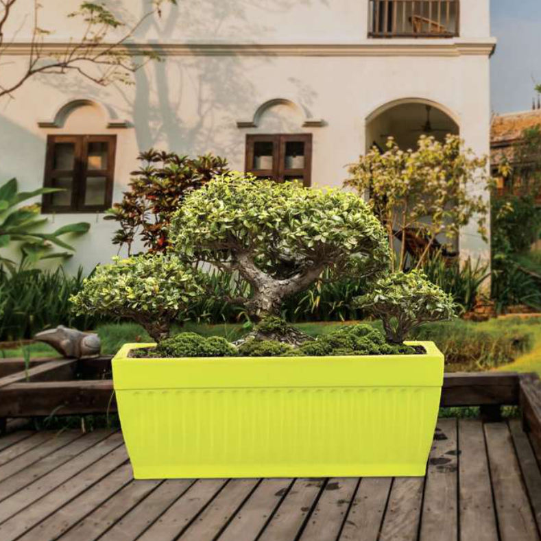 Martiz Planter