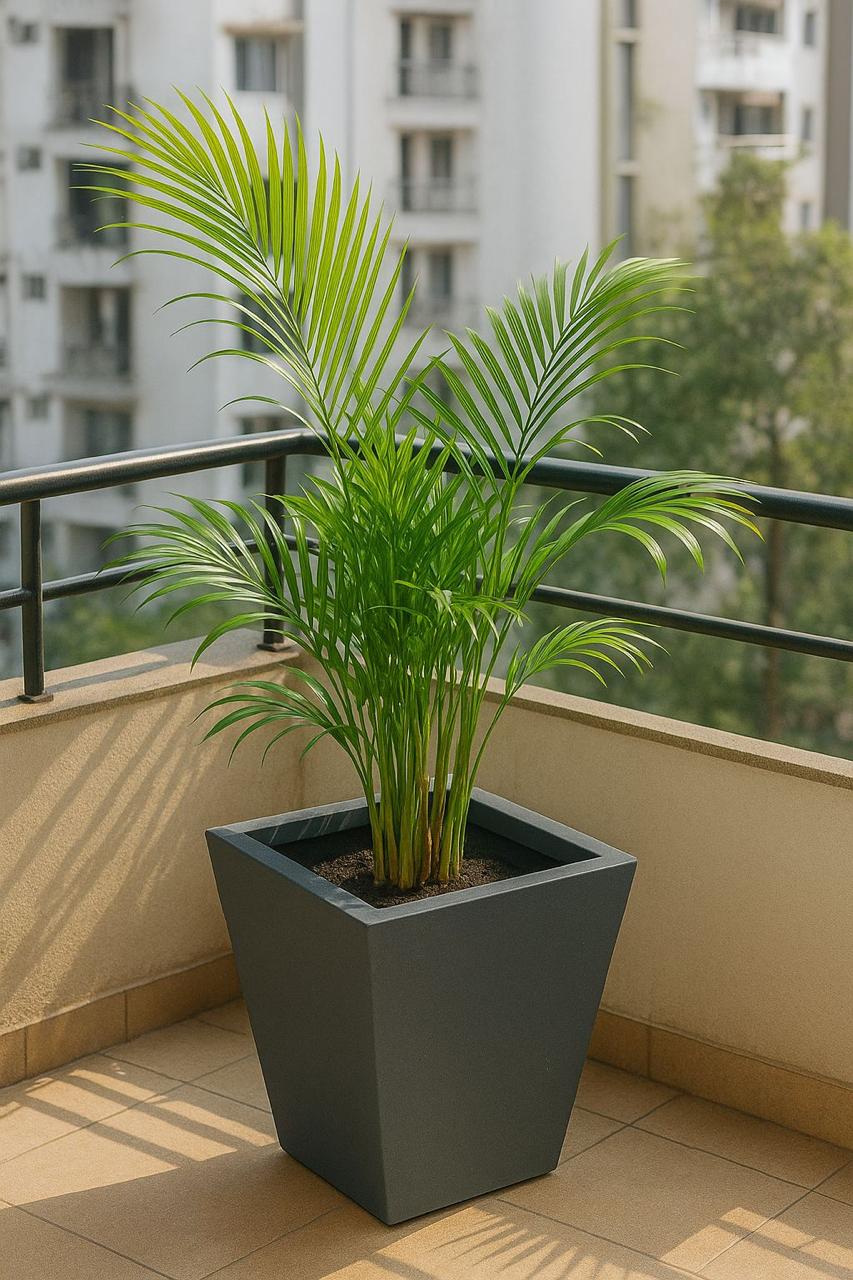 Fiber Glass Planters