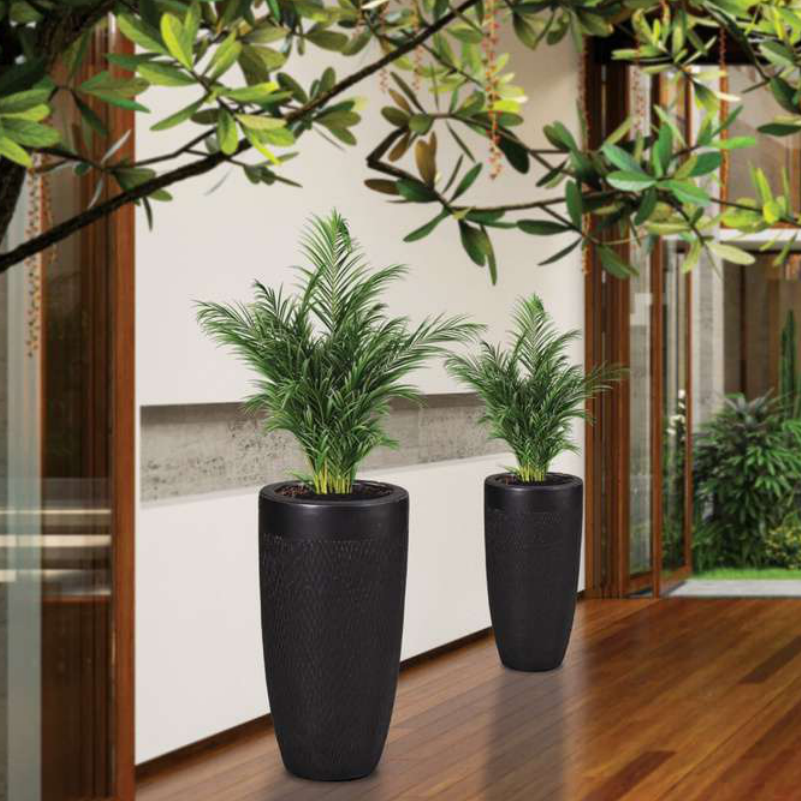 Rolex Planter
