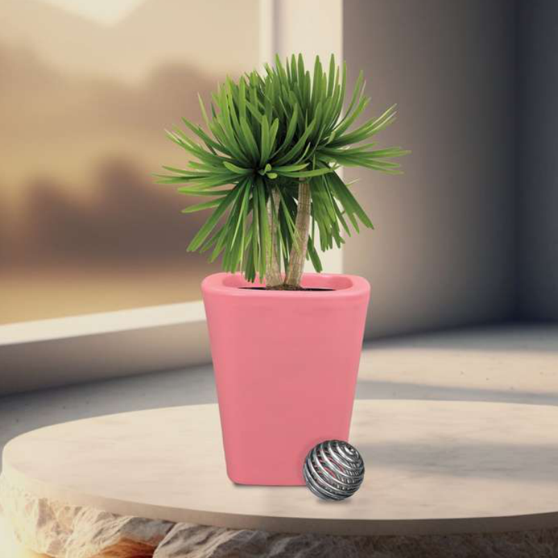 Royal Planter