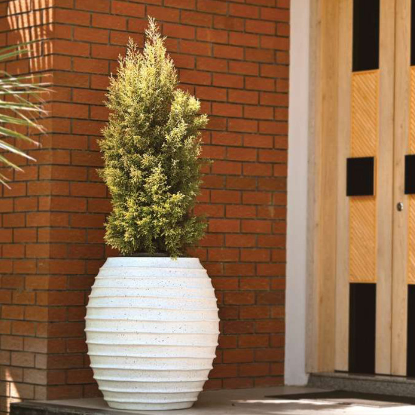 Victor Planter